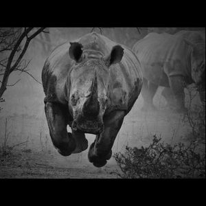 Meet your Posher, Mark